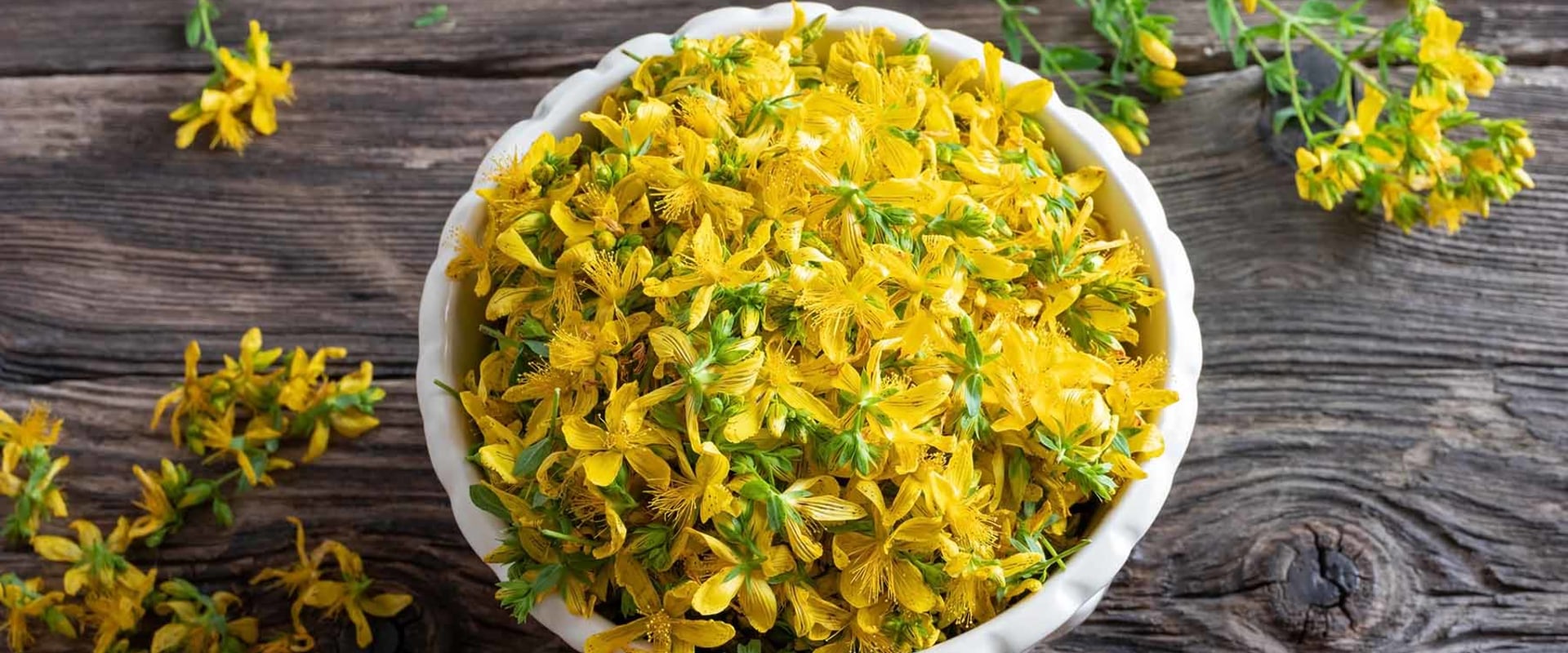 The Power of St. John's Wort: Boosting Memory and More