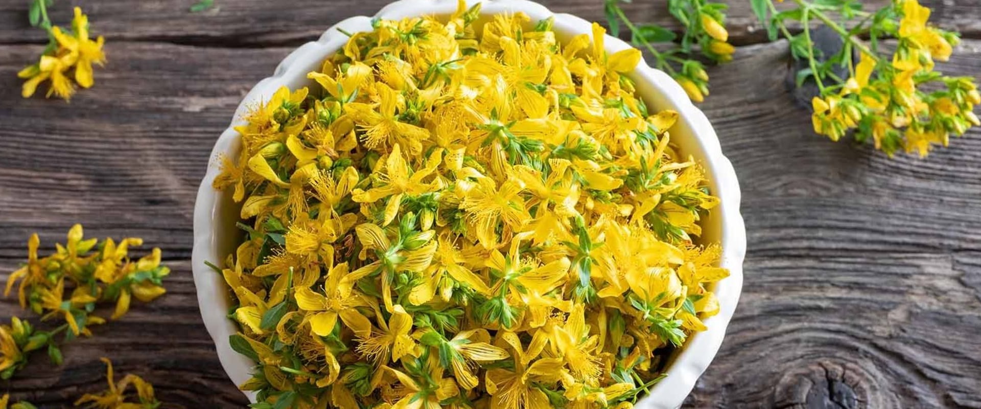 The Power of St. John's Wort: A Comprehensive Guide to its Effects on Medications
