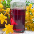 The Power of St. John's Wort: A Comprehensive Guide