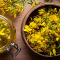 The Benefits and Interactions of St. John's Wort