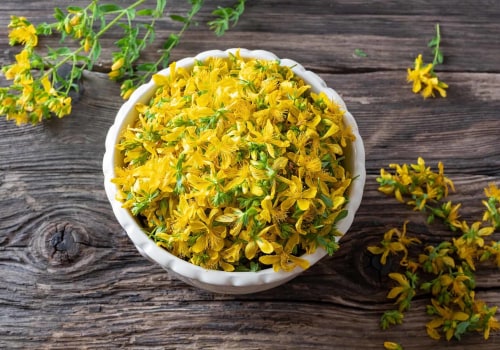 The Power of St. John's Wort: Boosting Memory and More