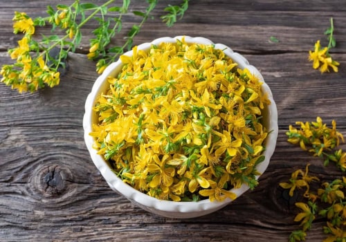 The Power of St. John's Wort: A Comprehensive Guide to its Effects on Medications